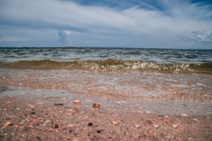 Sandy Day